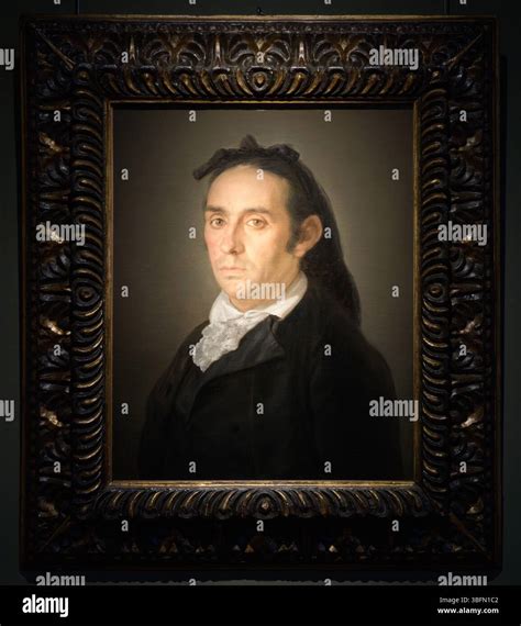 Portrait of bullfighter Pedro Romero by Francisco Goya, early 19th century, oil on canvas ...