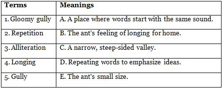 The Ant Explorer Class 6 Worksheet New Pathways