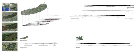 Forest Intersections | CEPT - Portfolio