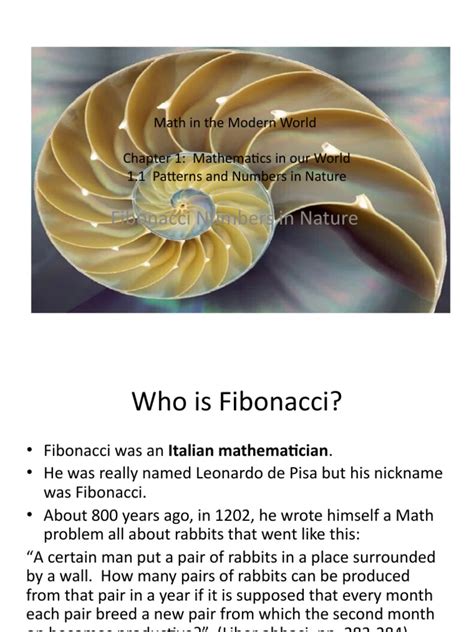 Mathematical Patterns in Nature: Fibonacci Numbers, Symmetry, Spirals ...