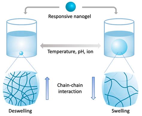 Hydrogel Nanoparticle as a Functional Coating Layer in Biosensing ...