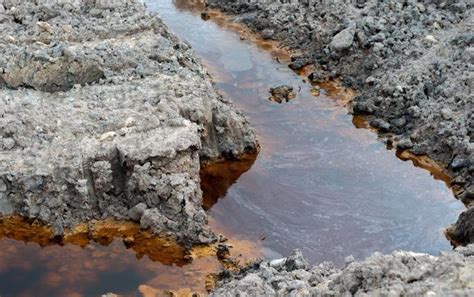 土壤重金属污染的危害土壤重金属污染的危害论文2022已更新今日更新