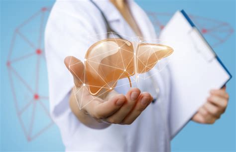 How Does the Liver Help in Detoxification? – Muditam Ayurveda