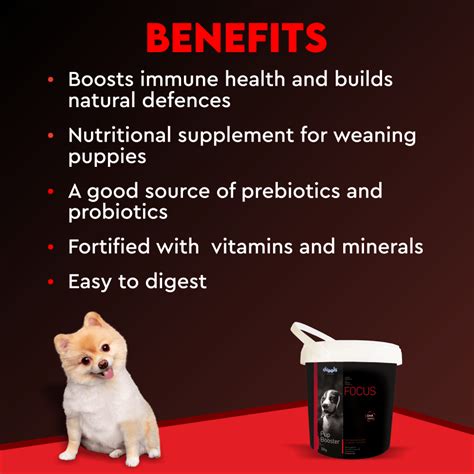 Buy Drools Focus Pup Booster Puppy Weaning Diet for All Breeds (300g ...