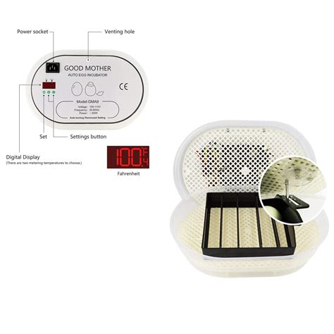 Buy GOOD MOTHER Digital Fully Automatic Egg Incubator 9-12 Chicken Eggs ...