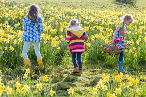 Image result for Spring for Children