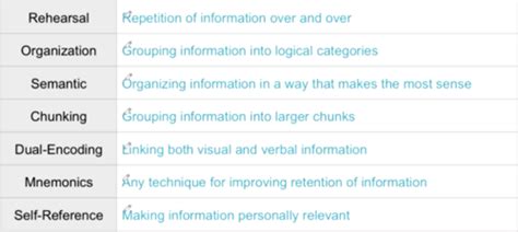 Image result for Transactive Memory Quizlet