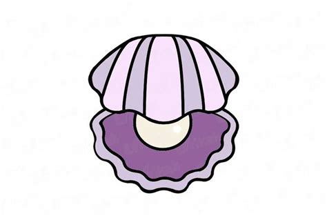 Seashell Drawing Tutorial 的图像结果