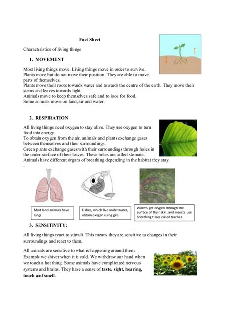 Biology Living Things 的图像结果