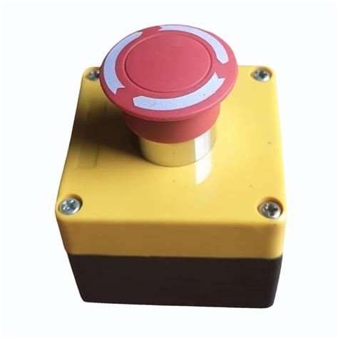 Pit Switch - Elevator Pit Switch Manufacturer from Jaipur