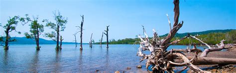 Best Deals on Andaman Tour Packages | VACATION ADDA