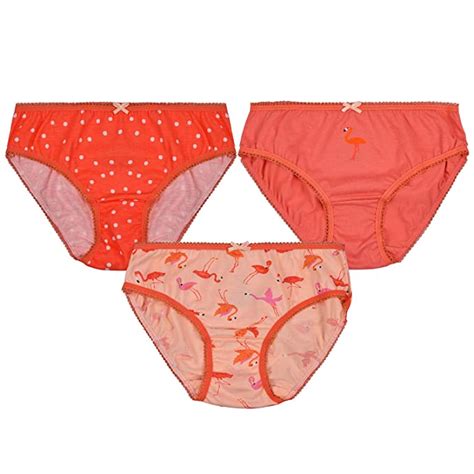 Buy CHARM N CHERISH Girl's Cotton Panty (Pack of 3)-Baby Girl Underwear ...