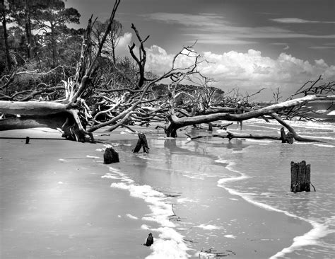 9 must see spots inside Hunting Island State Park - Explore Beaufort SC