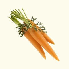 【carrot】什么意思_英语carrot的翻译_音标_读音_用法_例句_在线翻译_有道词典