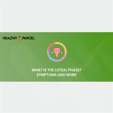 What Is the Luteal Phase? Symptoms and More