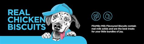 Buy Filomilo – Real Chicken Dog Biscuits for Adult Dogs | Dog Biscuits ...