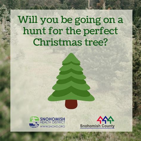 Snohomish County COVID-19 Brief for 12-4-2020