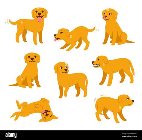 Cartoon dog set with different poses and emotions. Dog behavior, body language and face ...