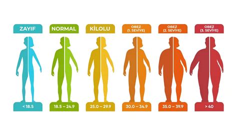 Vücut Kitle İndeksi (VKİ) Hesaplama Ve Obezite Rehberi
