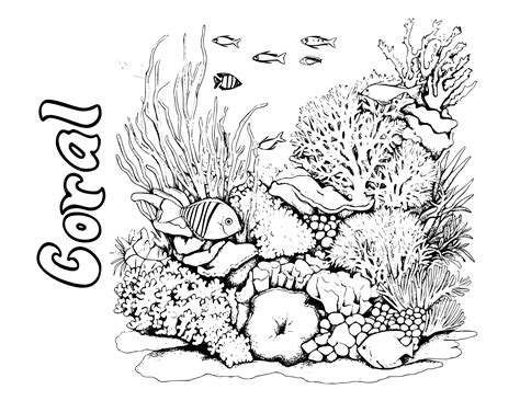 Coral Reef Coloring Pages For Kids [2025]
