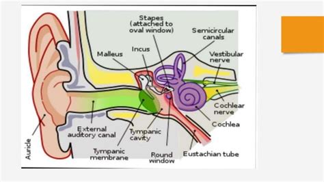 Image result for Unsupervised Machine Learning with Python Book