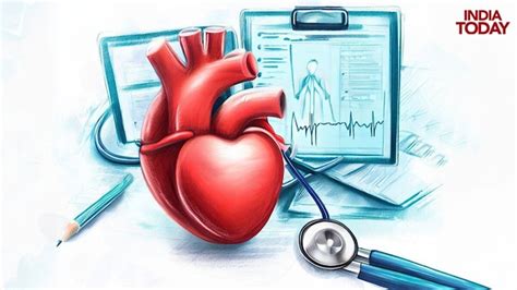 World Heart Day: Get these tests done to prevent cardiac diseases ...