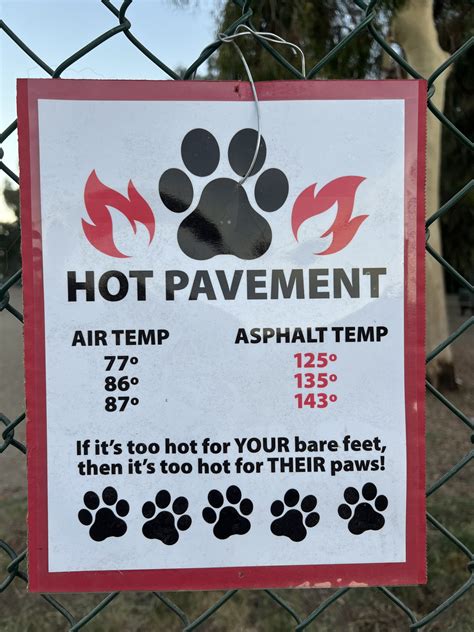 Temperature For Dog Paws at Regena Rudolph blog