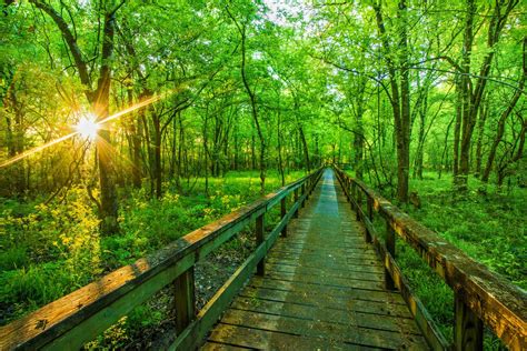 Over 25 Amazingly Fun Things to do in Mississippi With Kids