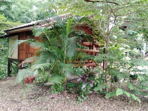 BANBONDOI HOMESTAY (Chiang Mai Province/Mae Rim, Thailand) - Inn ...