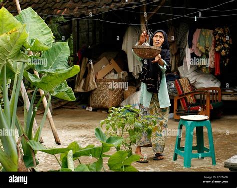 Mother in law fish hi-res stock photography and images - Alamy