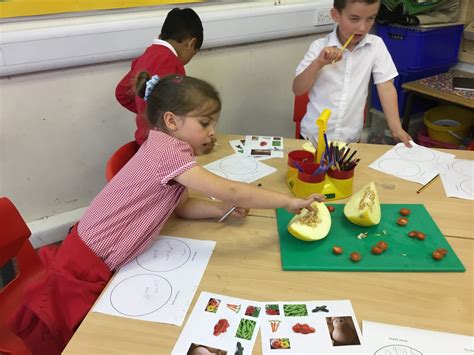 Science KS1 的图像结果