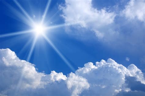 Natural Light Sources 的图像结果