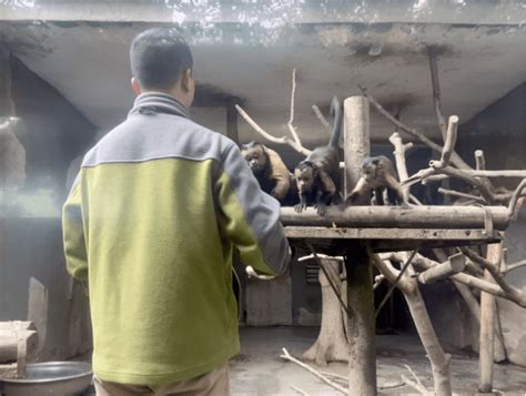 疫情下的武汉动物园 - 社会 - 中原新闻网-站在对党和人民负责的高度做新闻