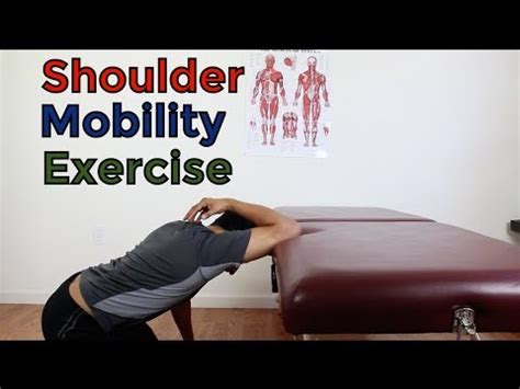 Image result for Multifidus Exercises