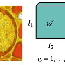Image result for Tensor Array