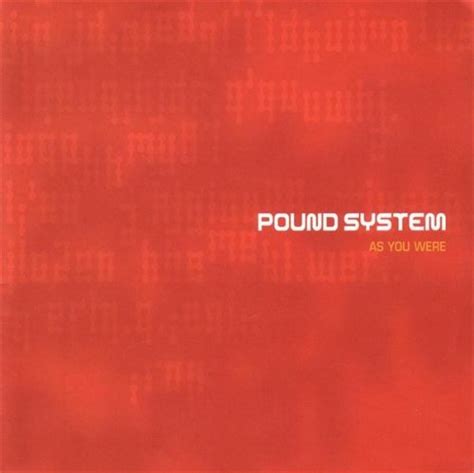 As You Were: Pound System: Amazon.in: Music}