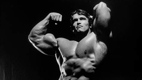 Arnold Schwarzenegger Prime