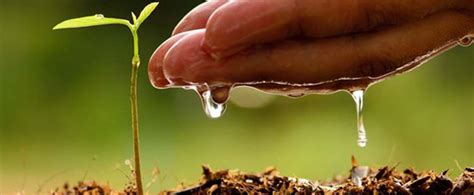 Kerala Soil Health Information System