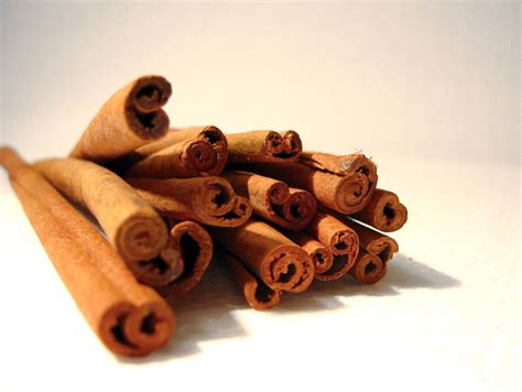 Cinnamon In Spanish Male at Carol Connell blog