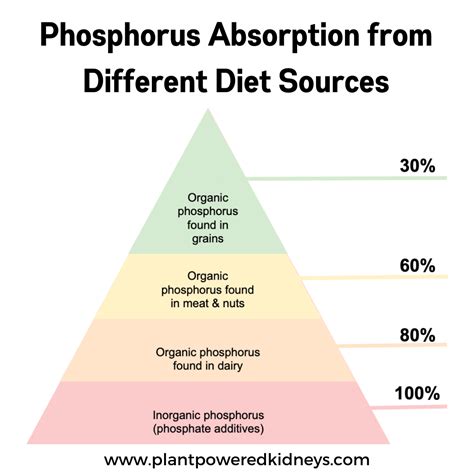 Low Phosphorus Foods - Plant-Powered Kidneys