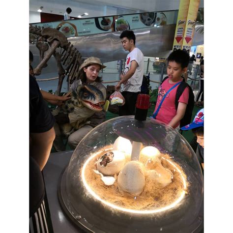 Dinosaur Eggs Incubator - SG Largest Jurassic Dinosaur Event Decor ...