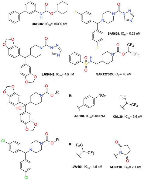 Targeting Monoacylglycerol Lipase in Pursuit of Therapies for ...