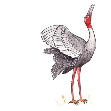 Digital Library of Stories for Kids | Stories | Storyweaver