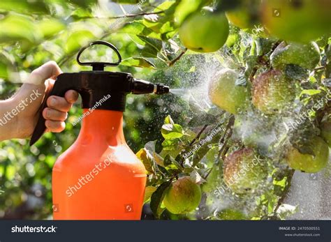 Applee Tree Apples Spraying Pesticides Pest Stock Photo 2470500551 ...