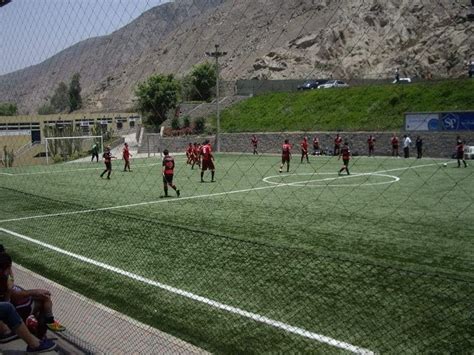 Sportsfield College 的图像结果