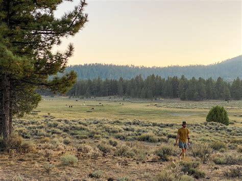 Holcomb Valley Ranch | Spacious Tent & RV Campsites Big Bear, CA