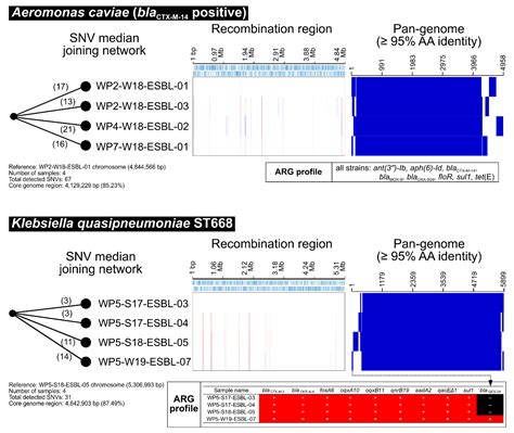 Comprehensive Genome and Plasmidome Analysis of Antimicrobial Resistant ...