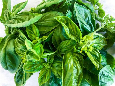 Authentic Italian Bruschetta Al Pomodoro Recipe - Eating Around Italy