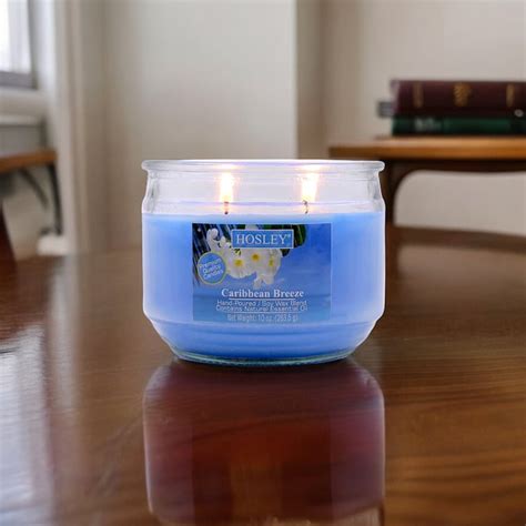Buy HOSLEY Caribbean Breeze Scented Jar Candle from Hosley at just INR ...