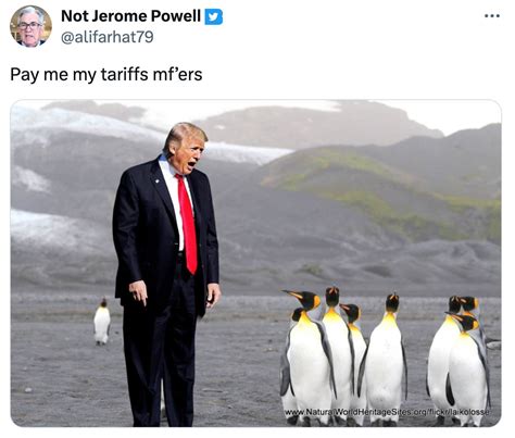 Trump tariffs inspire viral Penguin memes: 24 of the best